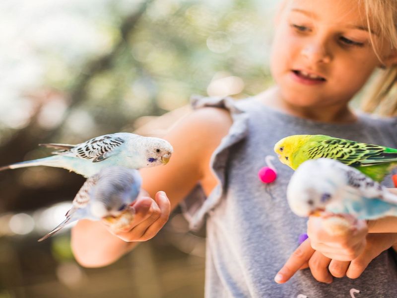 Find Summer Fun on These Five Adventures