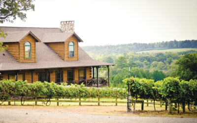 Rural Vineyards Offer Good Wines and Scenic Views