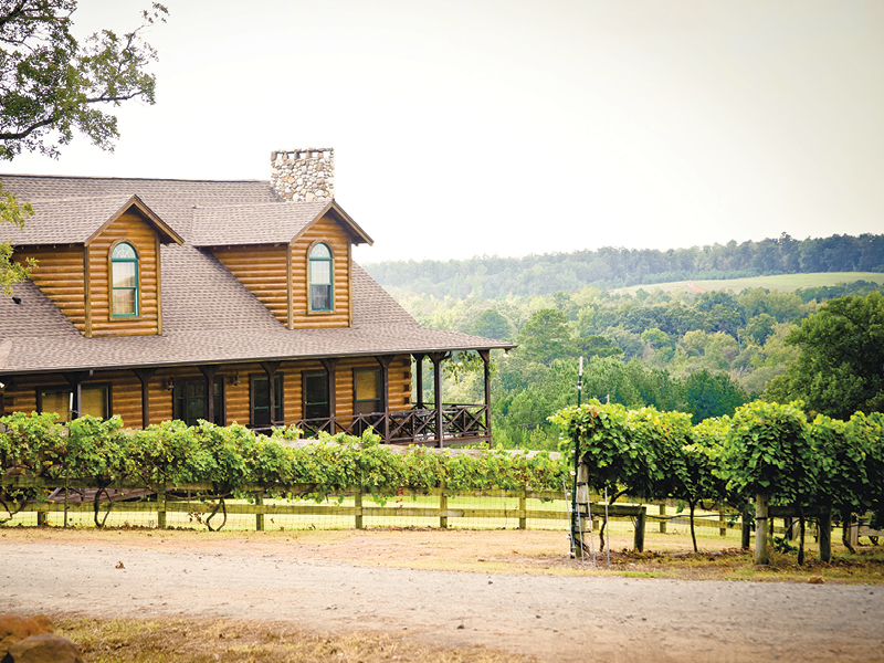 Rural Vineyards Offer Good Wines and Scenic Views