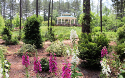 Walk With Nature at the Longview Arboretum