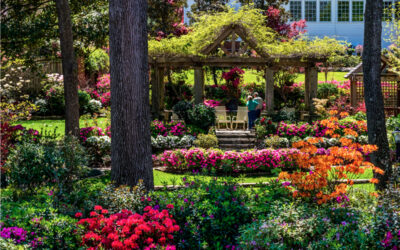 Azalea & Spring Flower Trail Kicks Off March 21