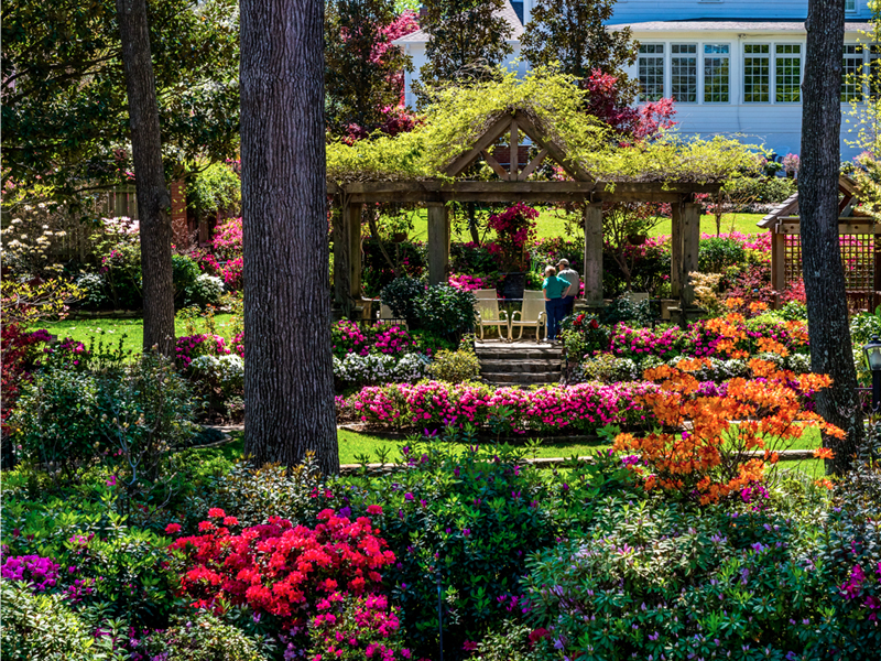 Azalea & Spring Flower Trail Kicks Off March 21