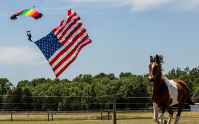 Airshow for Rescued Horses Takes Place at Wings Over Pegasus